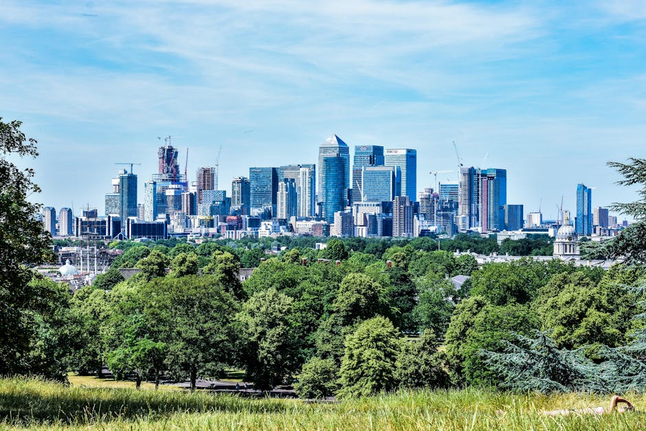 A panoramic view of a modern city skyline featuring numerous high-rise office buildings and skyscrapers with glass facades reflecting sunlight. The cityscape includes construction cranes indicating ongoing development, and the buildings vary in height and architectural style. In the foreground, there is a lush green park with dense, mature trees and well-maintained grassy areas, providing a natural contrast to the urban environment. The sky above is clear with light blue tones and a few wispy clouds, suggesting a bright, sunny day. The scene appears to be taken from a vantage point within the park, showcasing the juxtaposition of natural greenery and city infrastructure, relevant to discussions of urban development, private waste disposal, or site clearance efforts near metropolitan areas, as sometimes handled by independent rubbish removal services or private waste management providers.